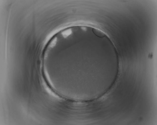 X0000113761515200910211157