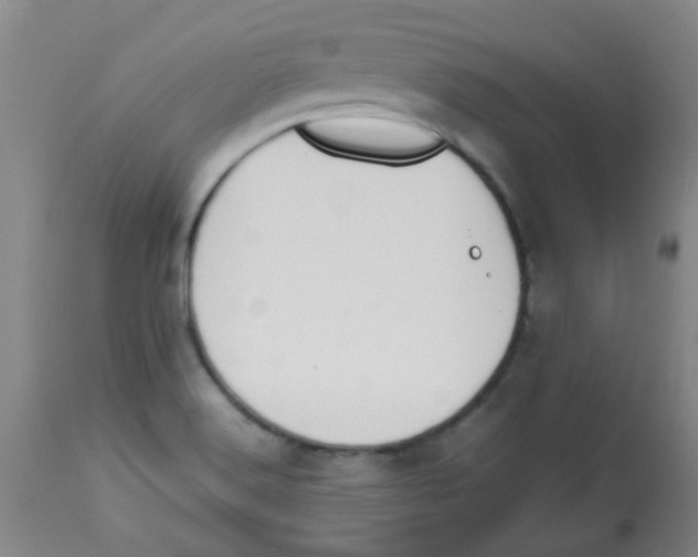 X0000113761516200910211157