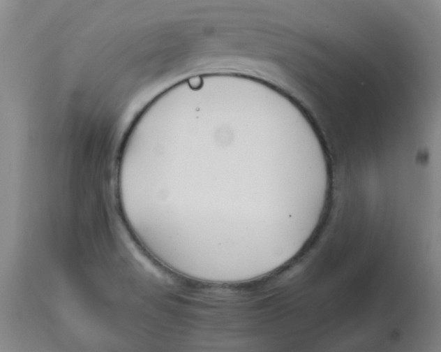 X0000113761517200910211157