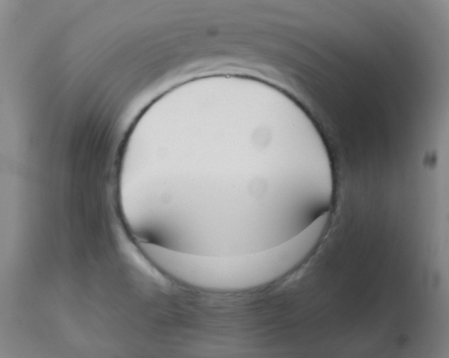 X0000113761518200910211157