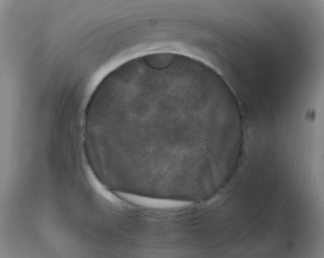 X0000113761519200910211157