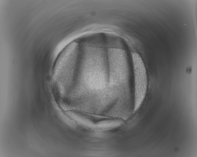 X0000113761520200910211157