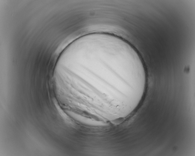 X0000113761521200910211157