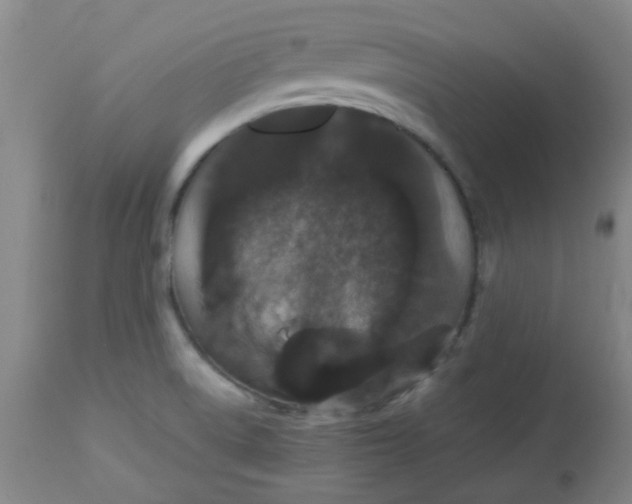 X0000113761522200910211157