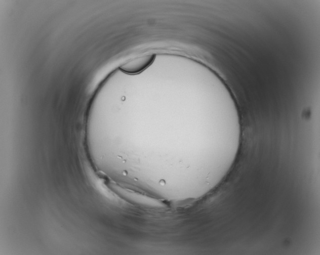 X0000113761523200910211157