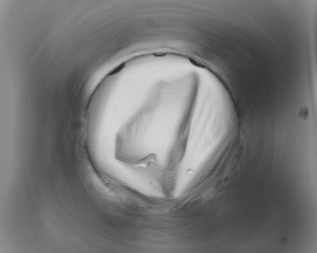 X0000113761524200910211157