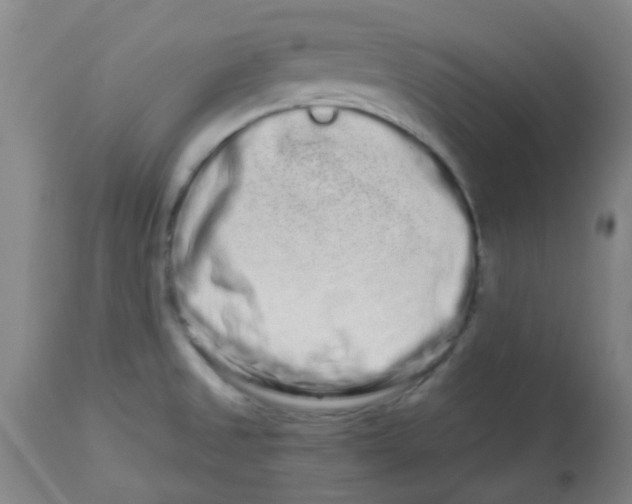 X0000113761525200910211157