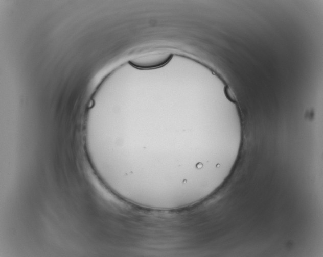 X0000113761526200910211157