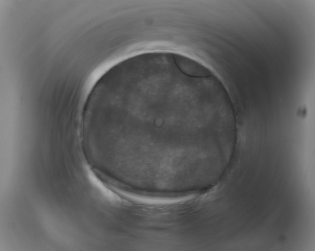 X0000113761527200910211157