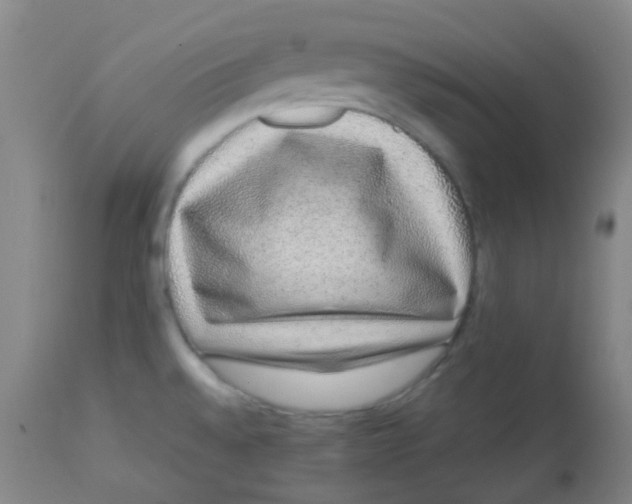 X0000113761528200910211157