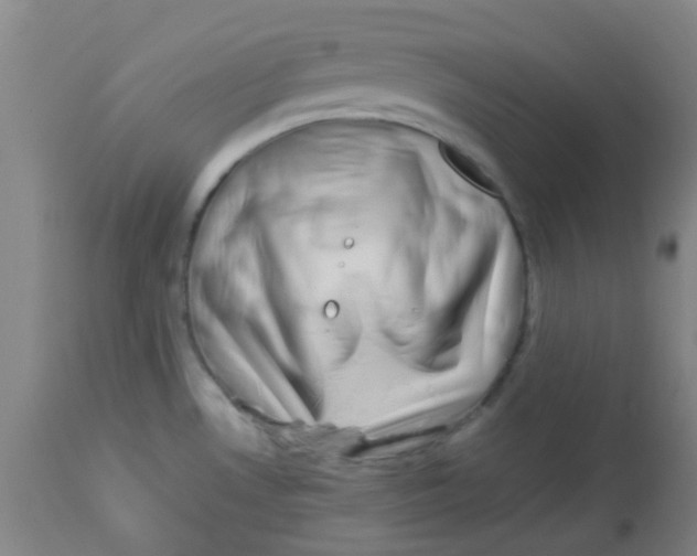 X0000113761530200910211157