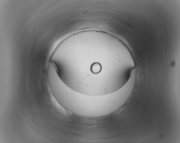 X0000113761532200910211157