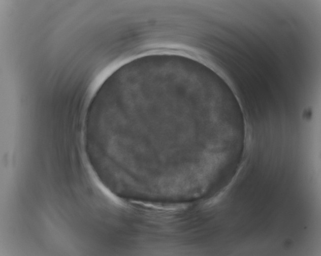 X0000113761533200910211157