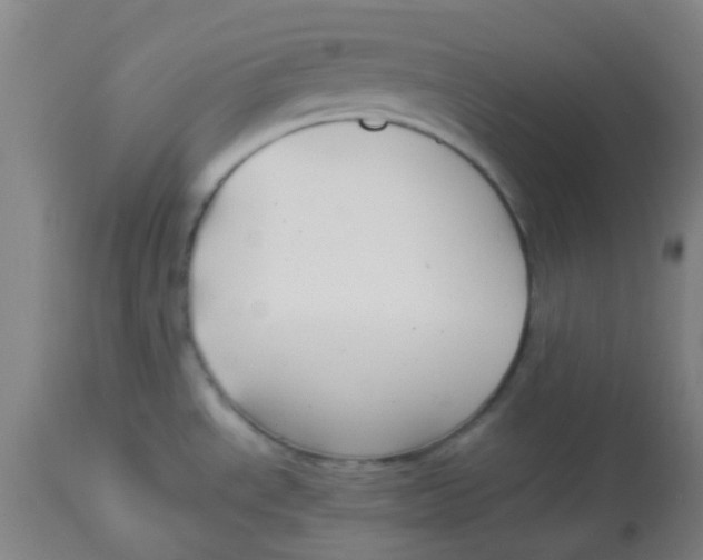 X0000113761534200910211157