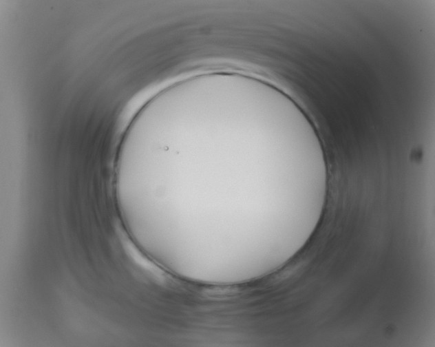 X0000113761535200910211157