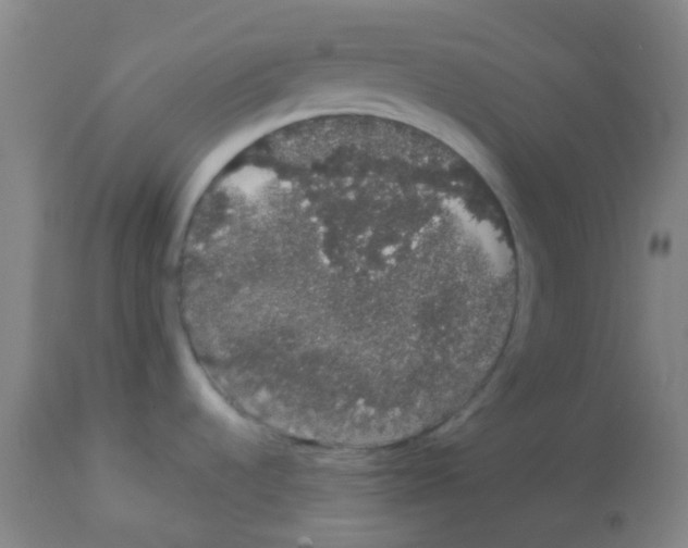 X0000113761536200910211157