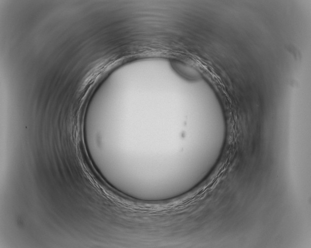 X0000113780002200909231051