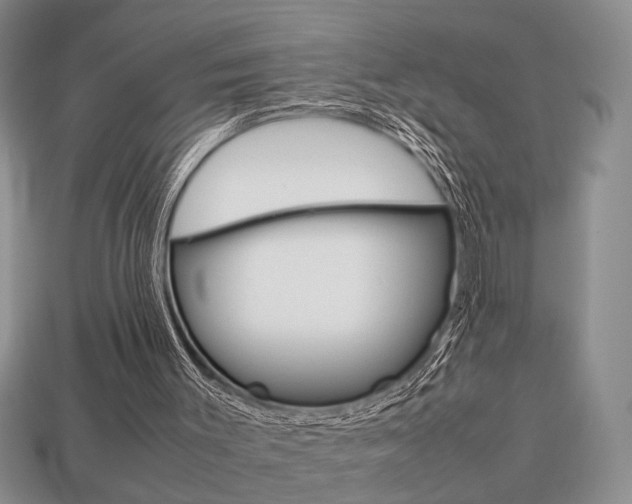 X0000113780003200909231051