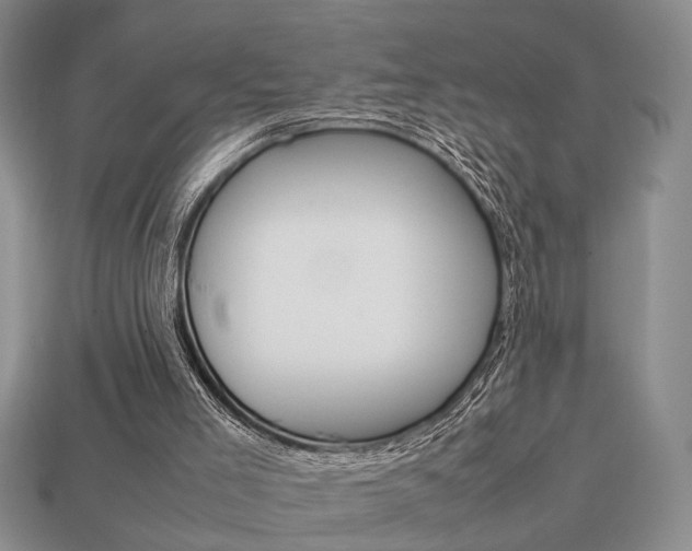 X0000113780005200909231051