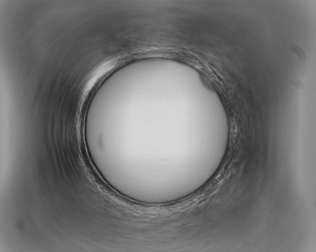 X0000113780006200909231051