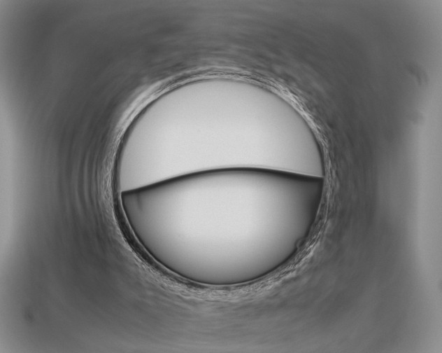 X0000113780007200909231051