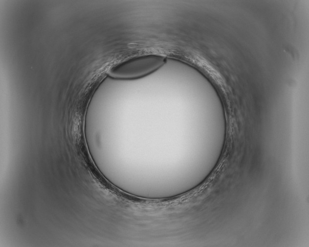 X0000113780009200909231051