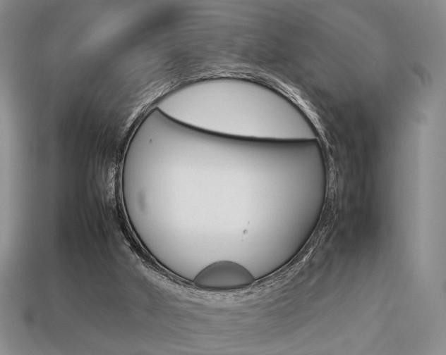 X0000113780010200909231051