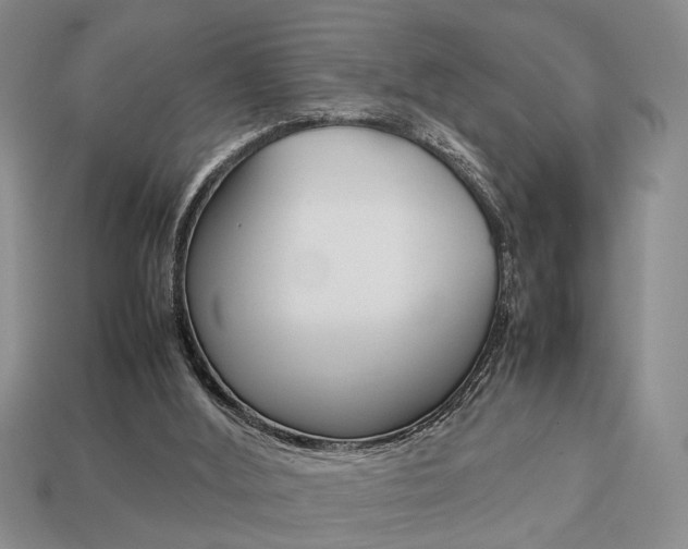 X0000113780012200909231051