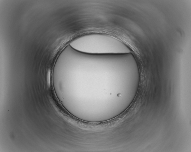 X0000113780014200909231051