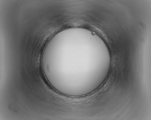 X0000113780018200909231051
