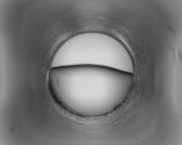 X0000113780019200909231051