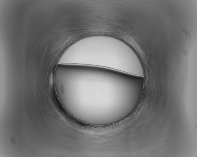 X0000113780021200909231051