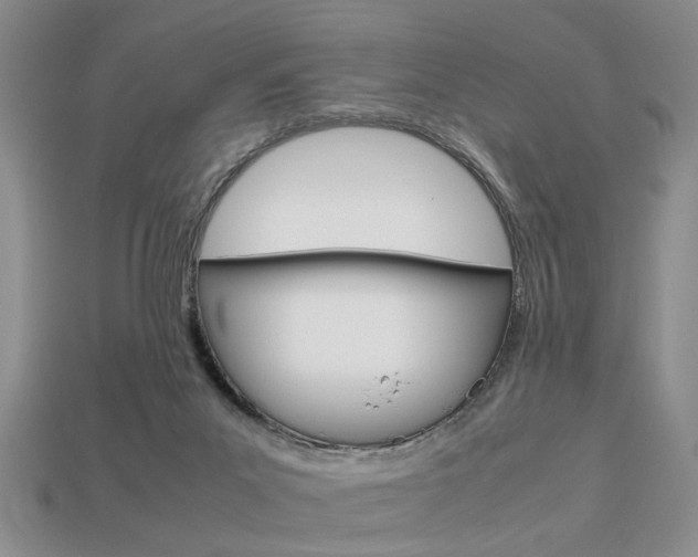 X0000113780023200909231051