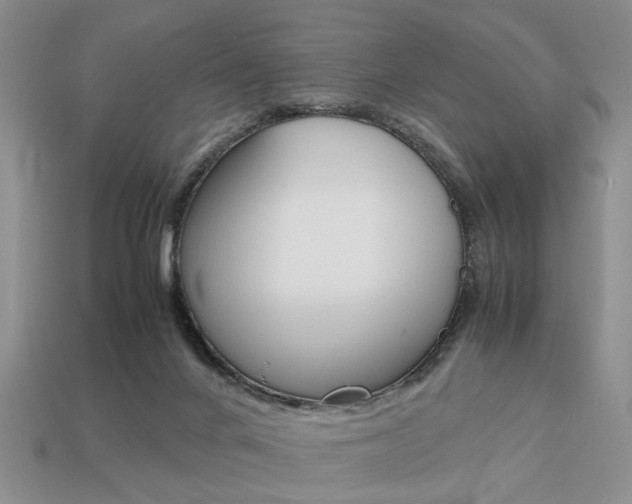 X0000113780024200909231051