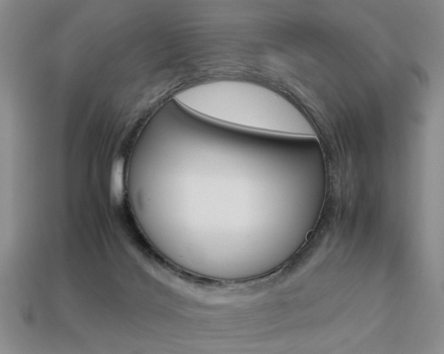 X0000113780028200909231050