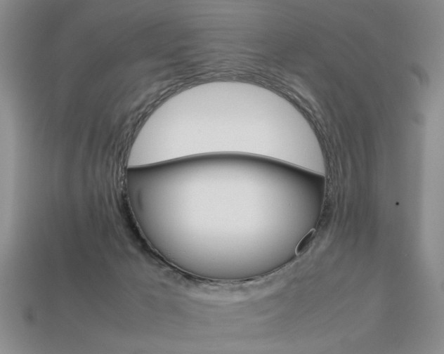 X0000113780029200909231050