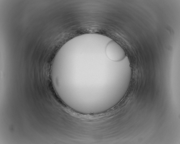 X0000113780030200909231050