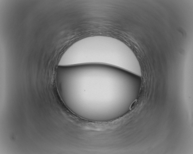 X0000113780033200909231050