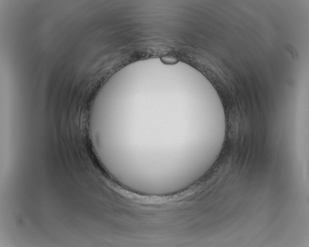 X0000113780034200909231050