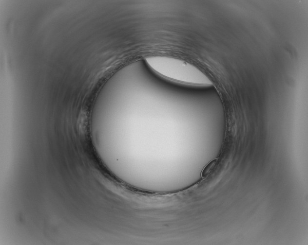 X0000113780036200909231050