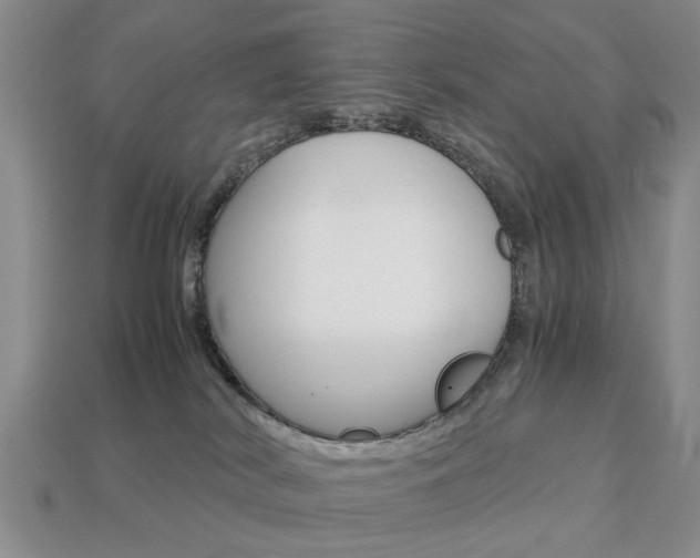 X0000113780038200909231050