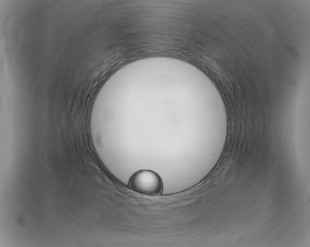 X0000113780039200909231050