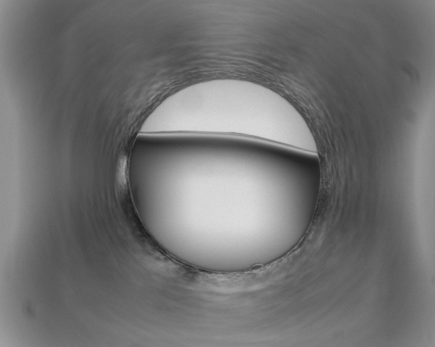 X0000113780041200909231050