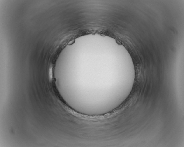 X0000113780042200909231050