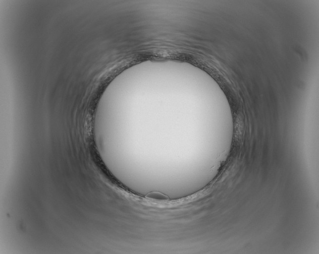 X0000113780043200909231050