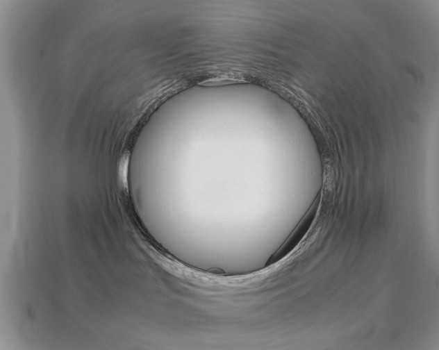X0000113780047200909231050
