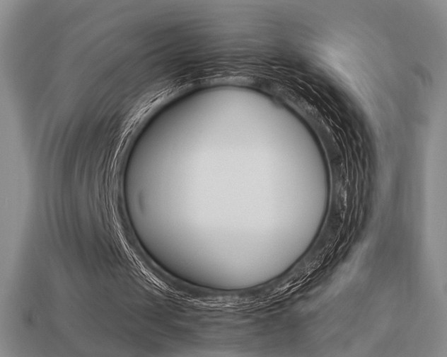 X0000113780049200909231050