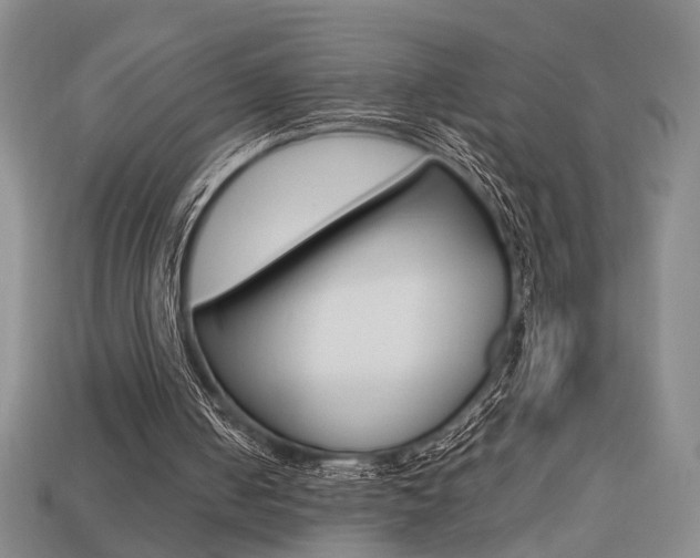 X0000113780050200909231050