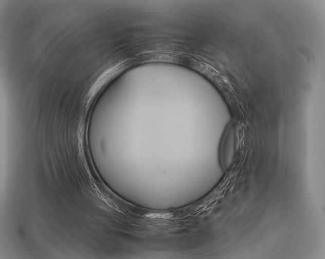 X0000113780051200909231050