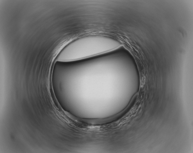 X0000113780052200909231050